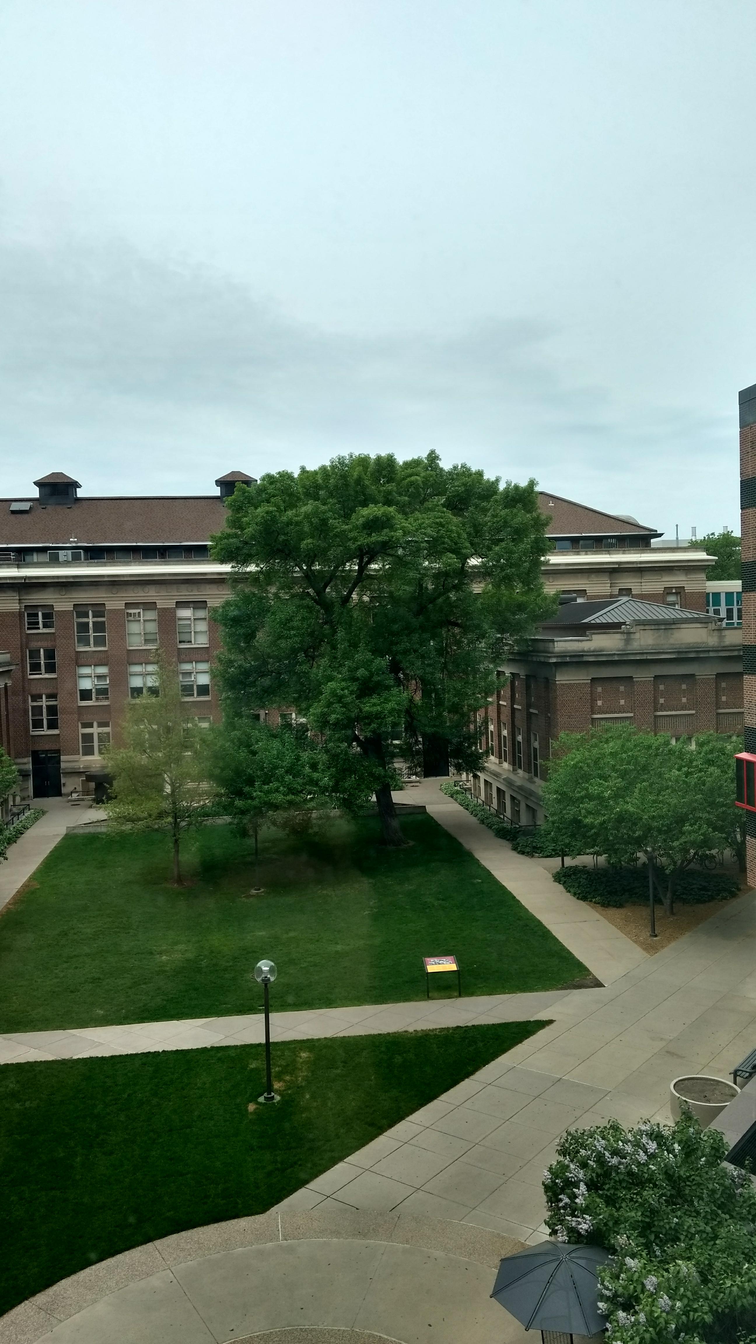 Photo - Observation object